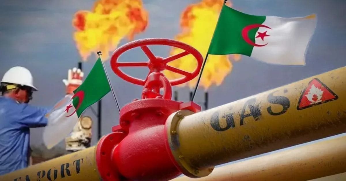 algatedz's tweet image. Le gaz européen flambe de 50%
Le #gaz_européen bondit de près de 50% après l’arrêt de la production de #GNL par Qatar Energy