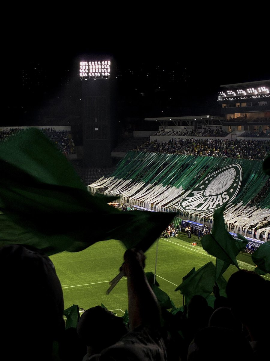 nathália araujo tweet media