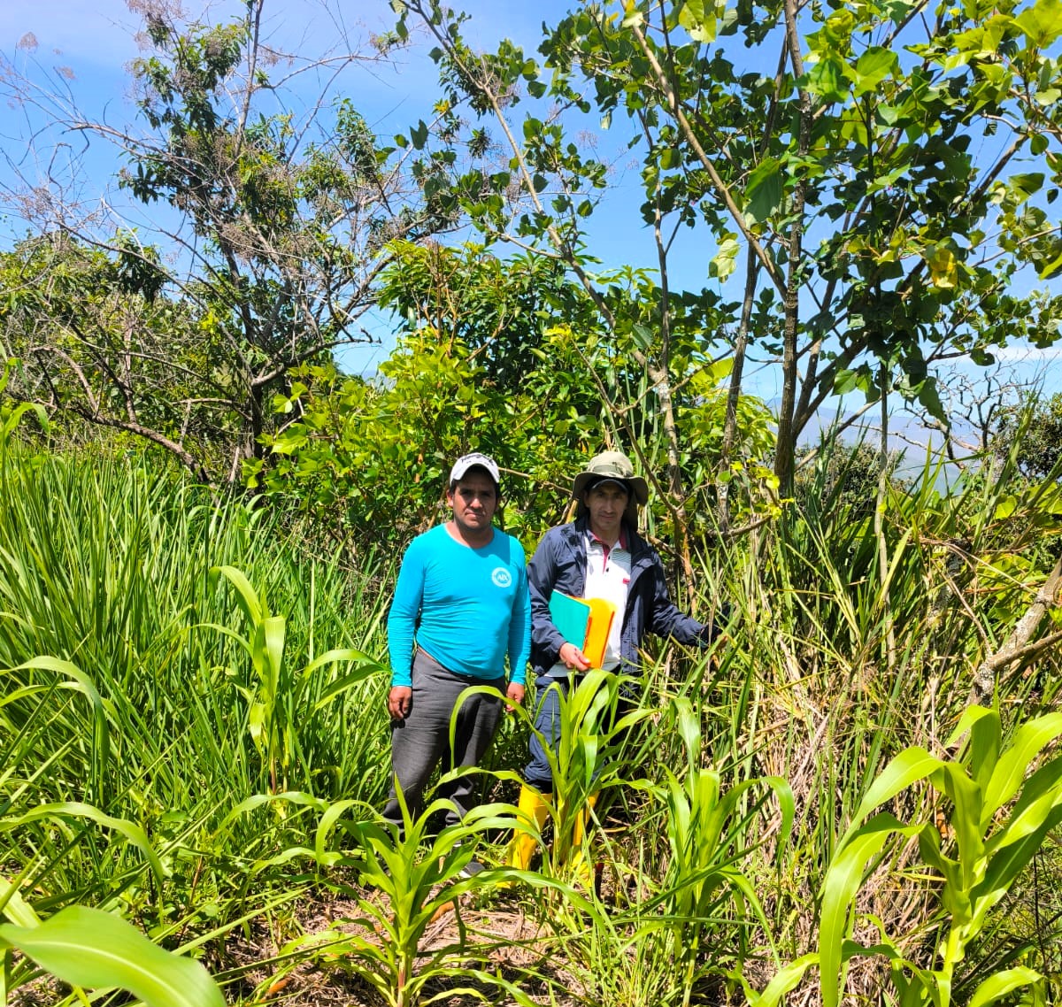 #Loja | A través del PIRATR, se realizó inspecciones técnicas en San Lucas, Santiago y Malacatos, cantón Loja, fortaleciendo la regularización de tierras rurales y garantizando seguridad jurídica para productores y campesinos.
Impulsamos el desarrollo productivo🌱
#ElNuevoEcuador