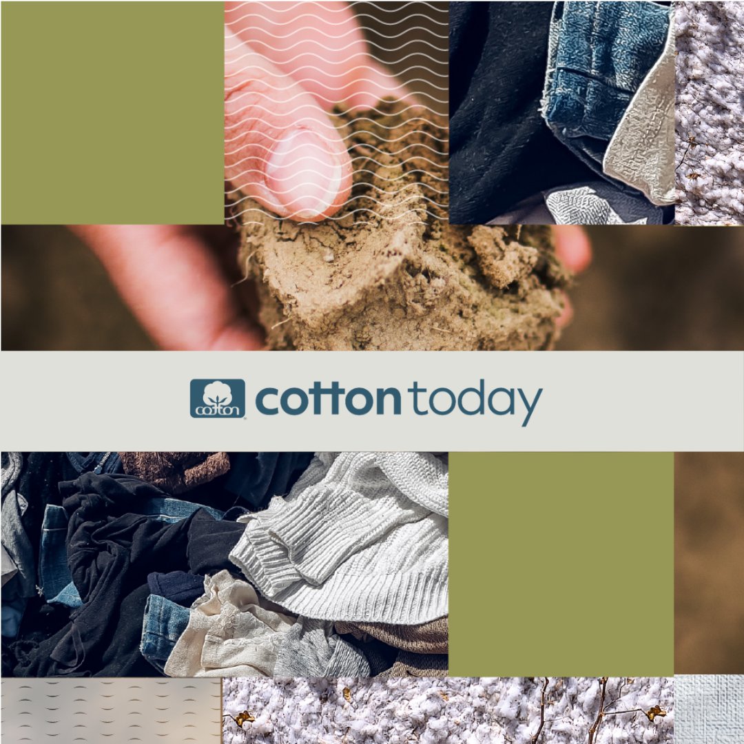 Cotton Incorporated tweet media