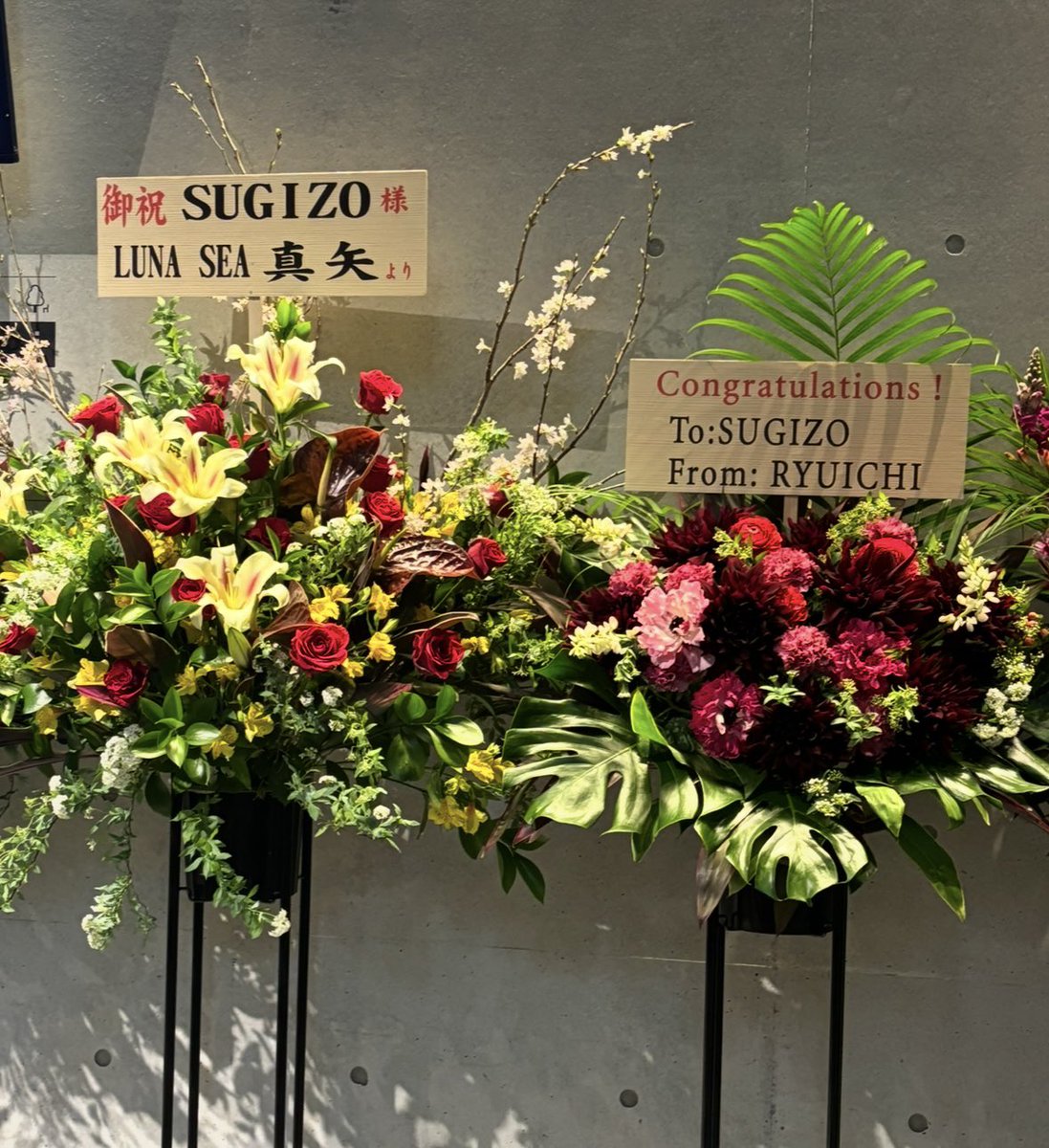 これをみた人は無言で去年の3月の画像を貼る