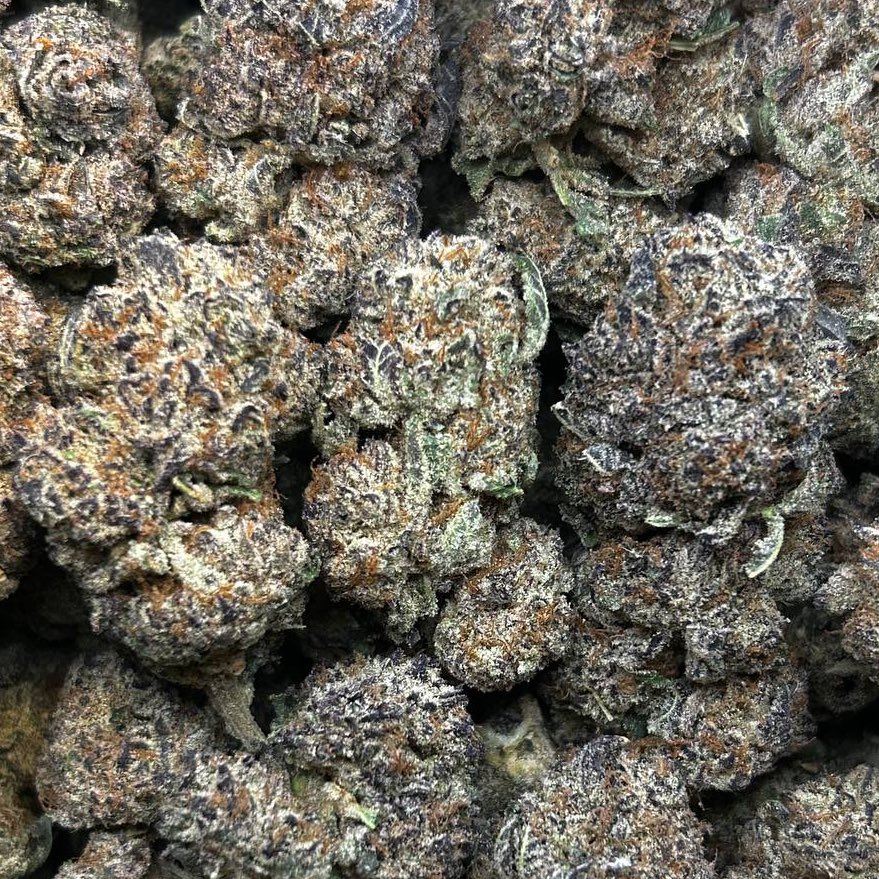 Silent Deal tweet media