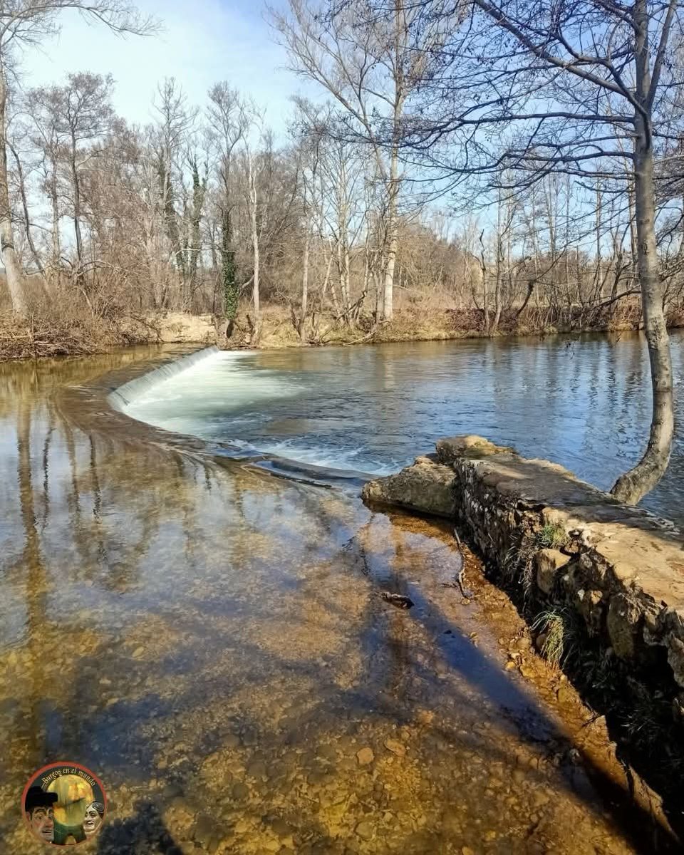 Burgos en el mundo tweet media