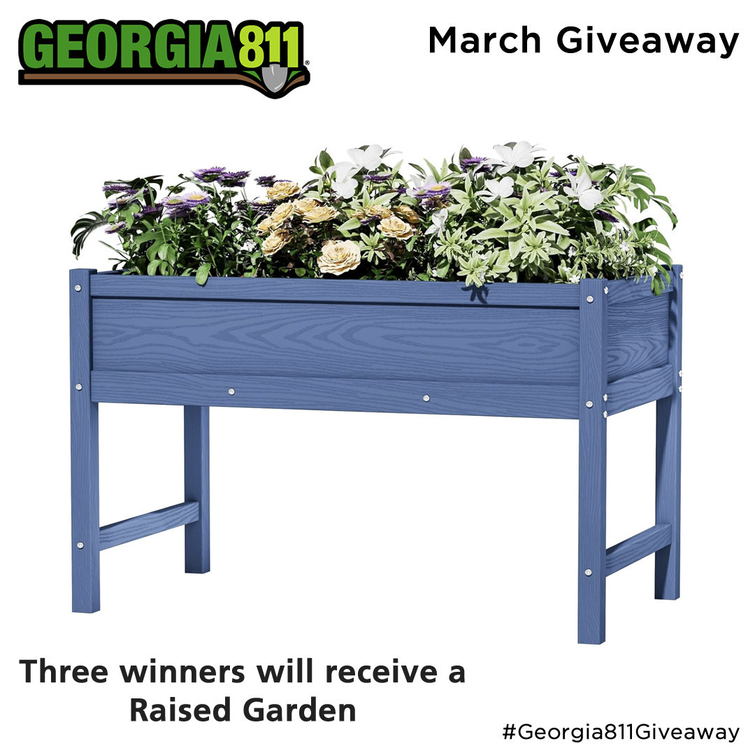 Georgia 811 tweet media