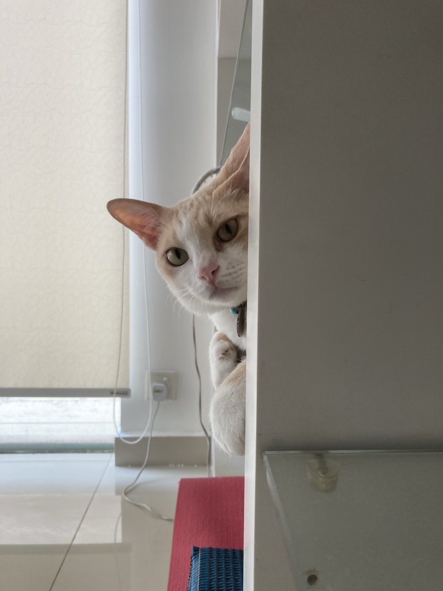 Hi there! 🤗😉😘