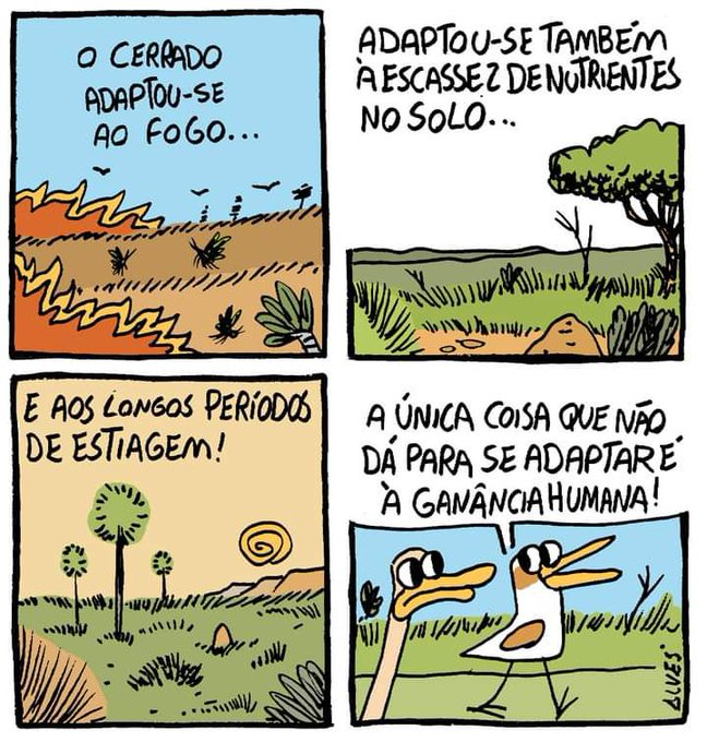 Dr. Cássio Cardoso Pereira tweet media