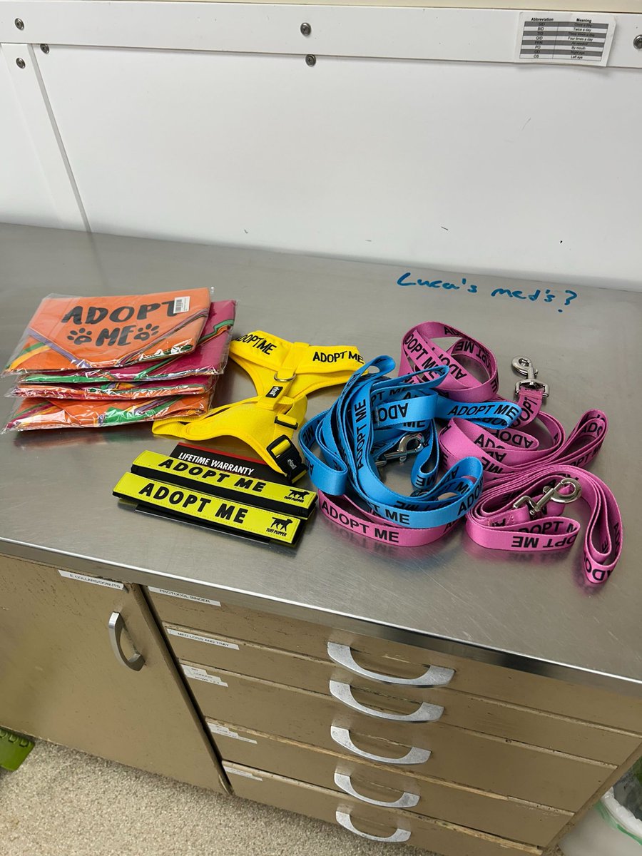 Aggieland Humane Society tweet media