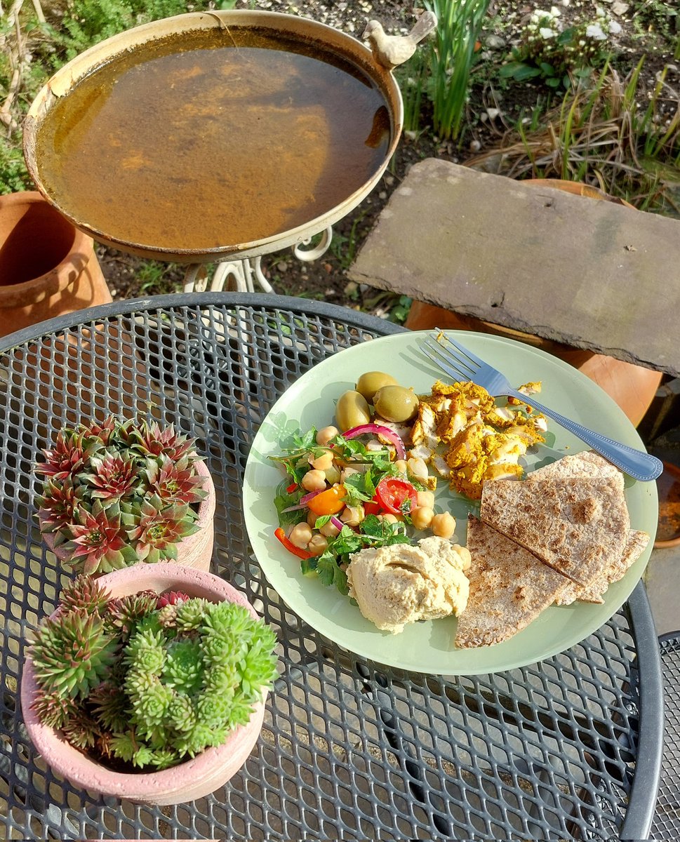 Daffodil01chase's tweet image. First time this year, getting to enjoy my lunch in the garden 🌱💛 #Springiscoming 😍