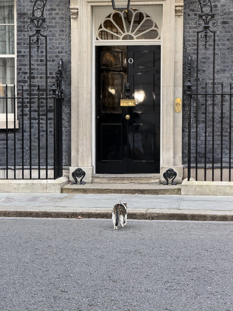 Dr. Diana T. Kudaibergen 🌻🍉 tweet media