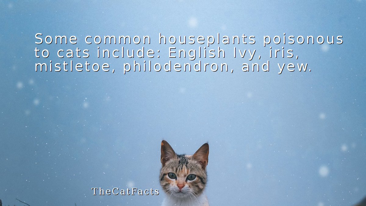 TheCatsFact's tweet photo. Protect your feline friend! 🐾 Did you know English Ivy, iris, mistletoe, philodendron &amp; yew are poisonous to cats? Keep them out of reach! https://t.co/BPz7mufnuV