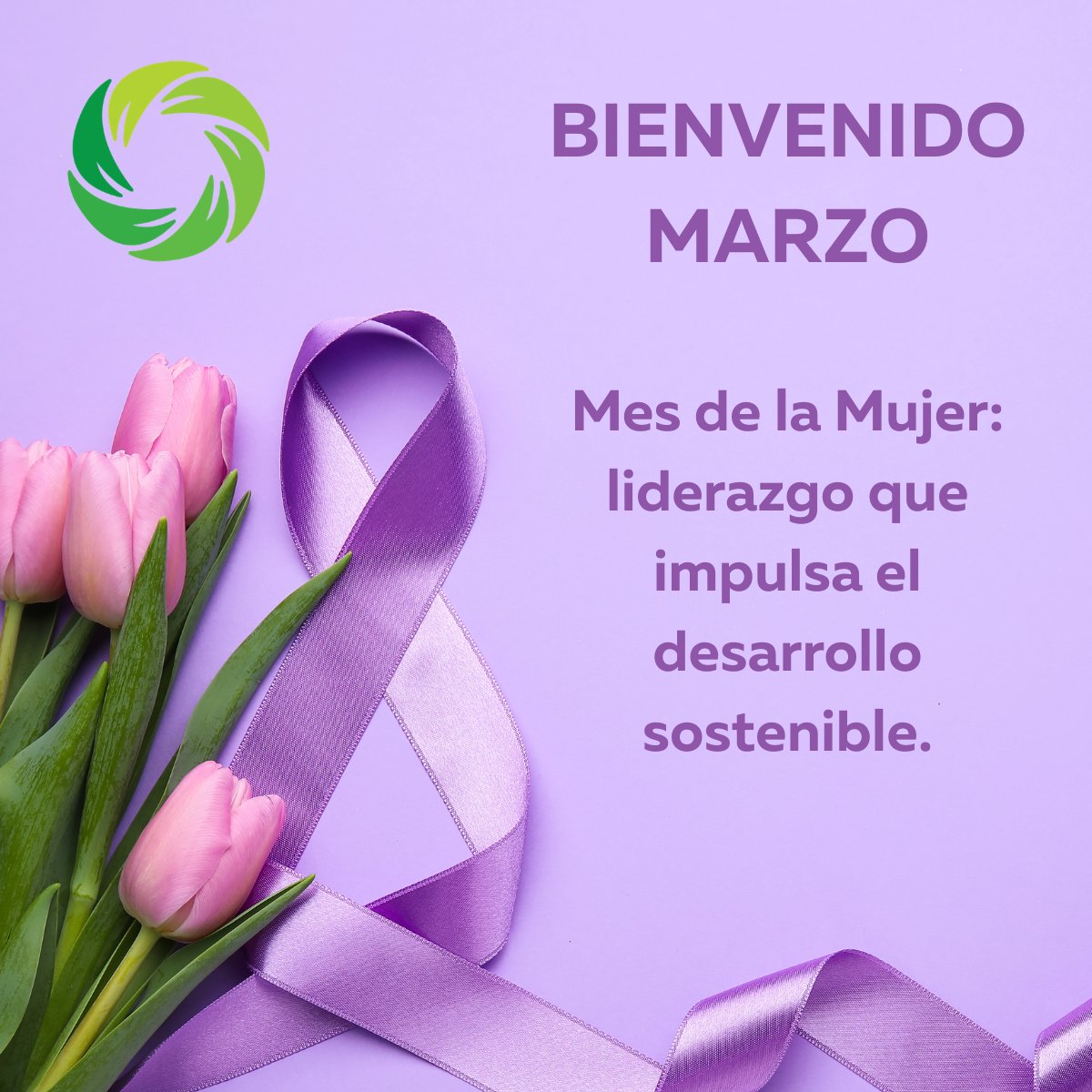 CamaraVerdeComercio tweet media