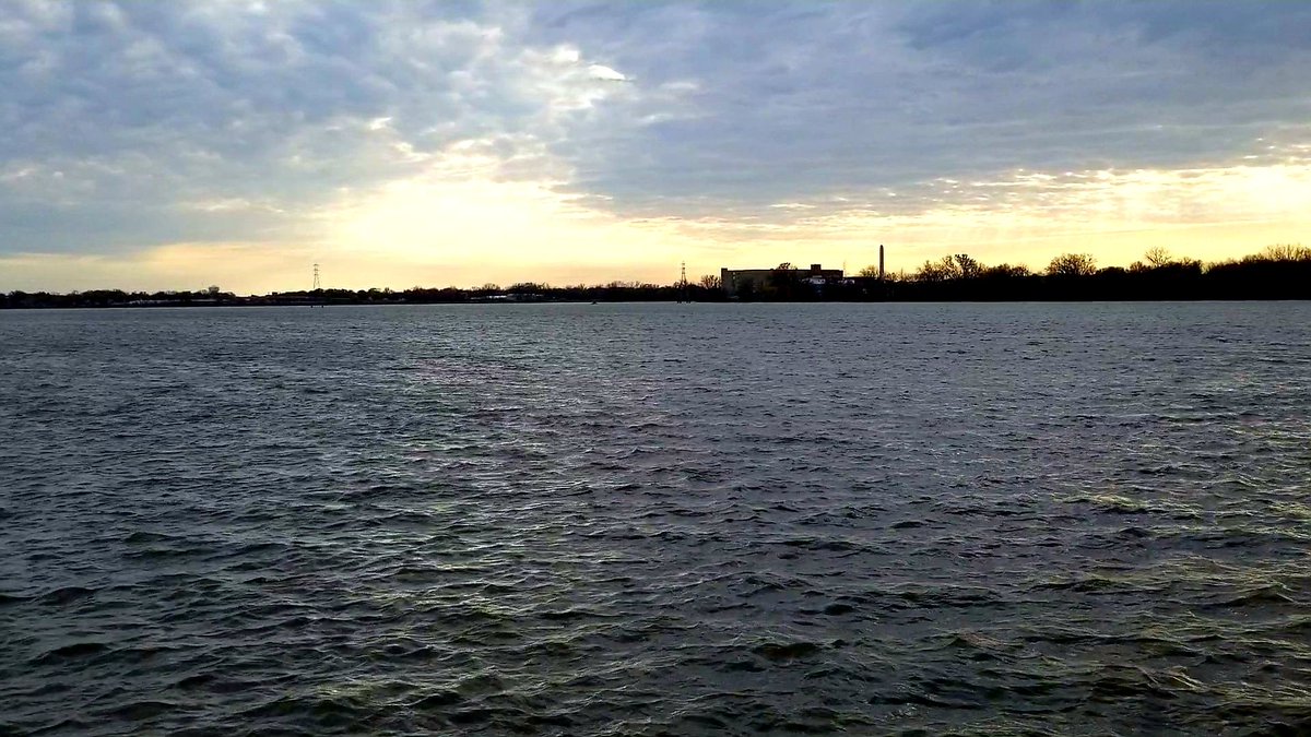 Don⚓🛥💫🤪 tweet media