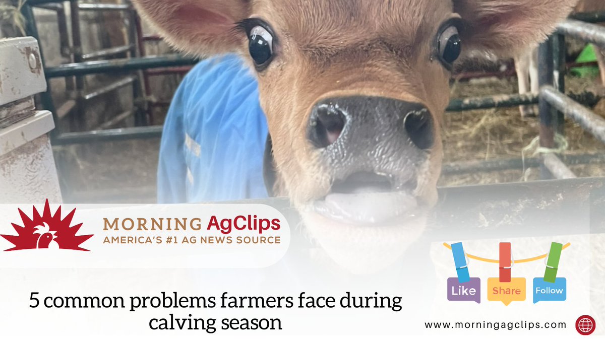 Ag Clips tweet media