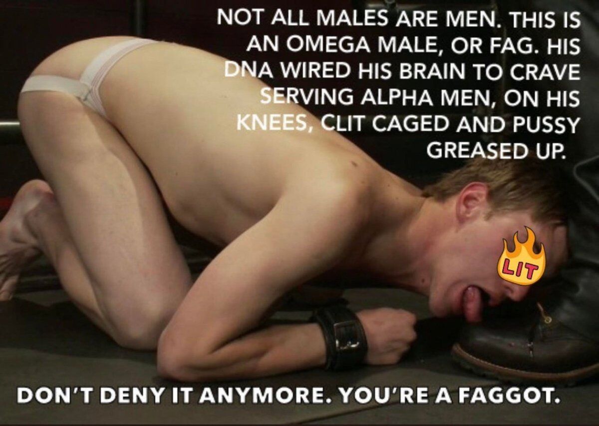 Gay slave Academy tweet media