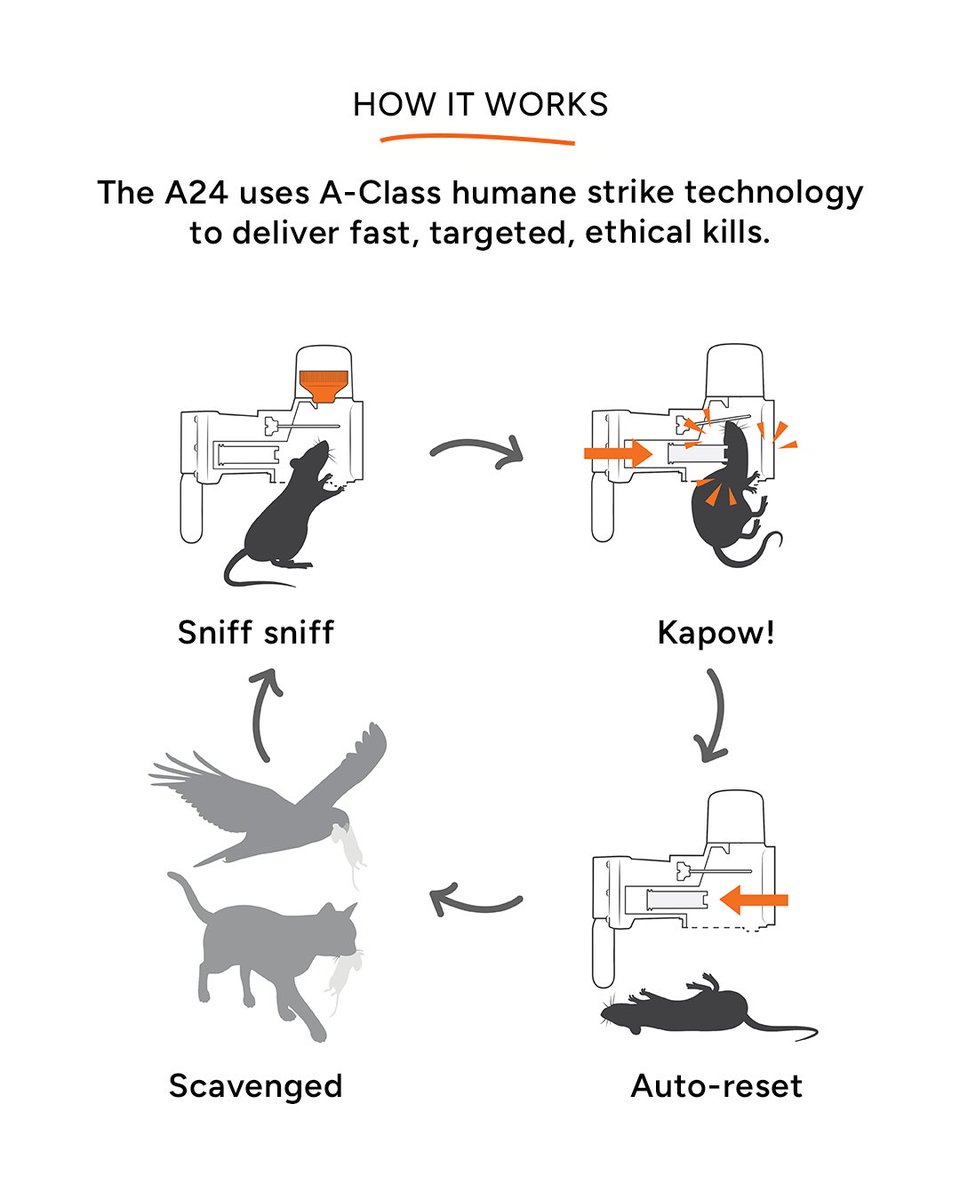 AutomaticTrap.com tweet media