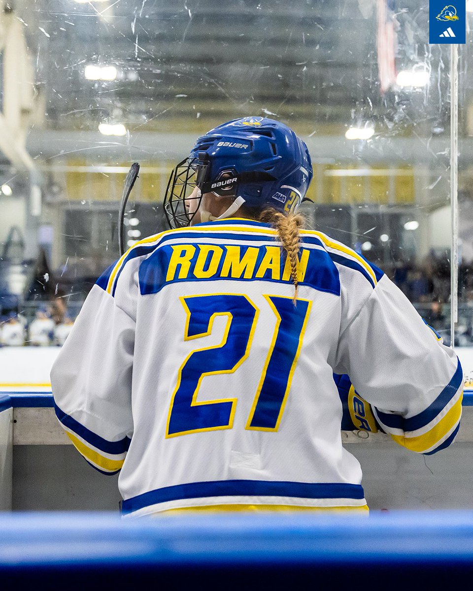 Delaware Fightin' Blue Hens tweet media