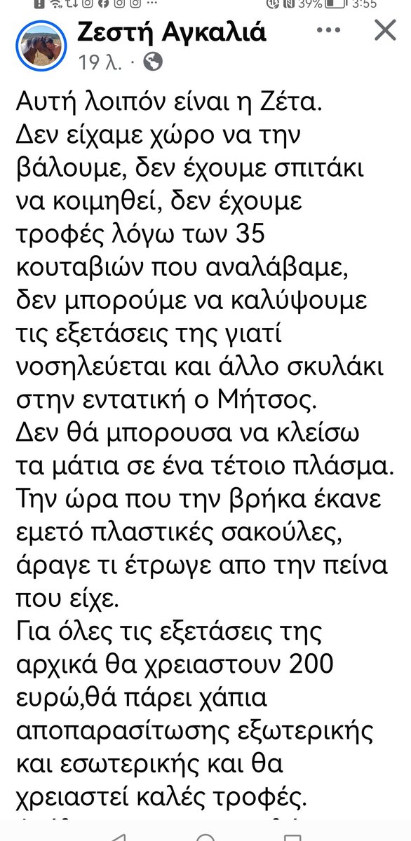 Christinalirou2's tweet photo. Έκκληση κάνει η Ζεστή Αγκαλιά για την σκυλίτσα που βρέθηκε στις Σέρρες. Όποια βοηθεια δεκτή. https://t.co/431C3Vyhsa