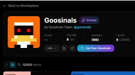 Ichi 🪱 tweet media