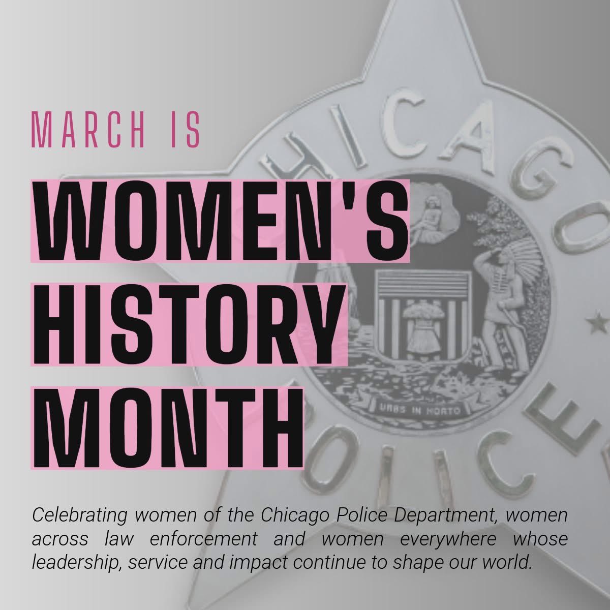 Chicago Police tweet media