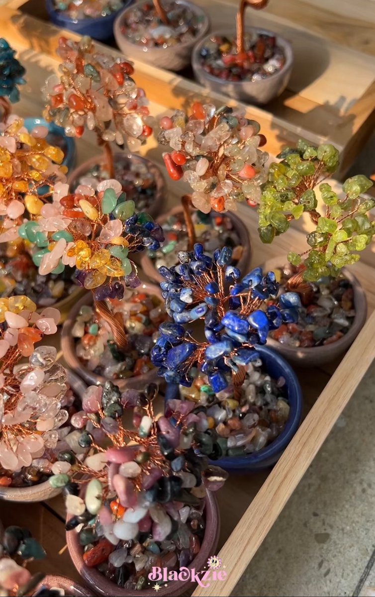 🌳#แจก ต้นไม้หินเสริมดวงตั้งโต๊ะ 🔮✨

🪞ตั้งแล้วปัง! เสริมพลังดี ๆ ทั้งความรัก การงาน การเงิน ชีวิตดีขึ้นแบบปังงๆ

✨รี+ ฟอล
✨อิโมจิที่ชอบที่ชอบค่า 𓍯