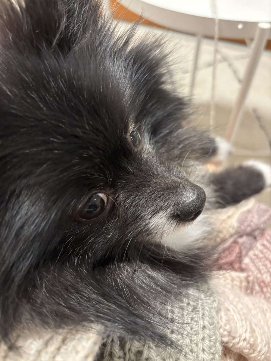 夏の海@2/1 西2ホール マ-05b (@summerofsea) / Posts / X