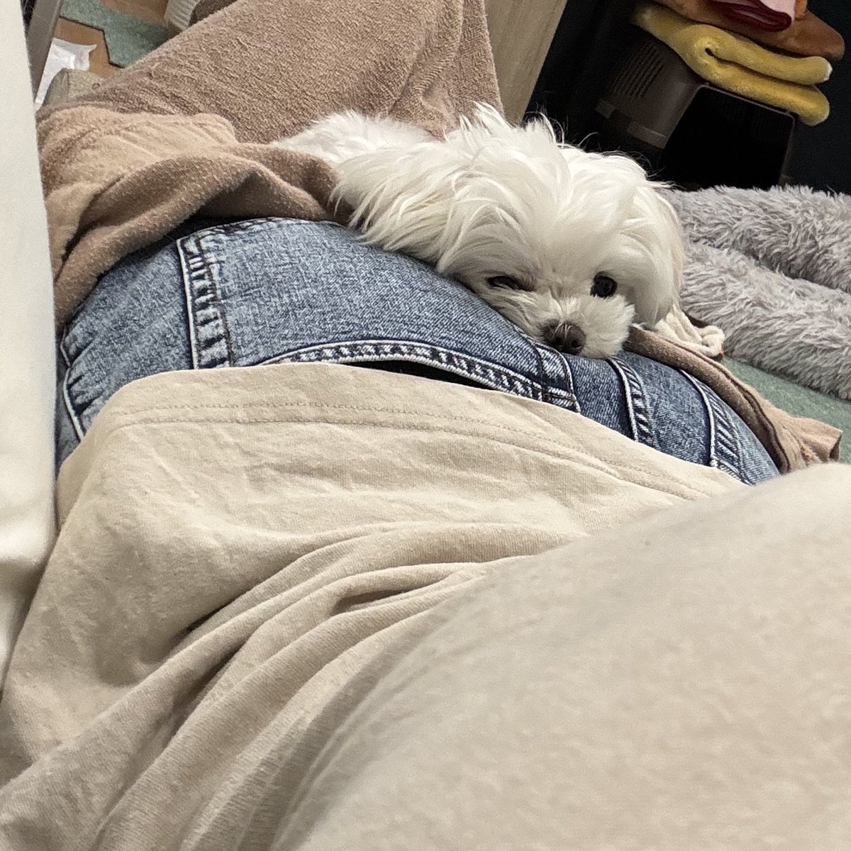 今日はお尻にフィットしてた、ほんとにこれで1時間半