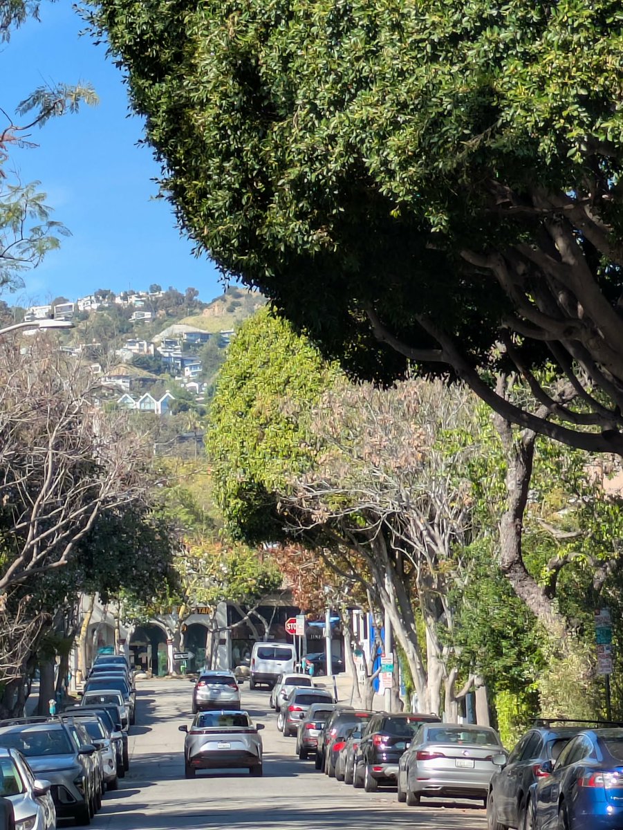 A. A. "Alfie" Rustom tweet media