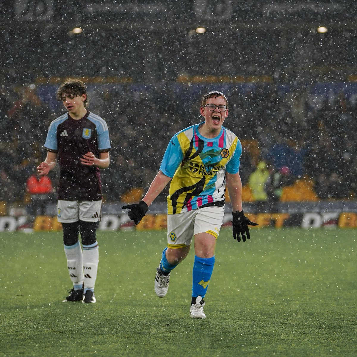 Wolves Foundation tweet media