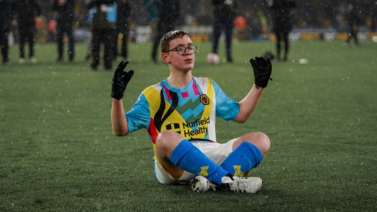 Wolves Foundation tweet media