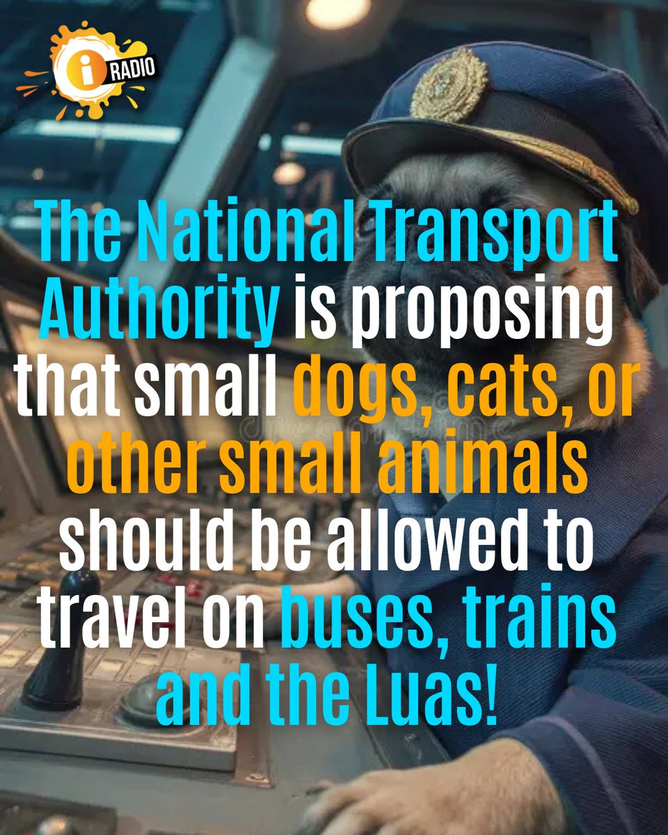 ThisisiRadio's tweet image. Major win for your furry, feathered and scaley friends! 🐶🦎

#publictransport #ireland #furryfriends