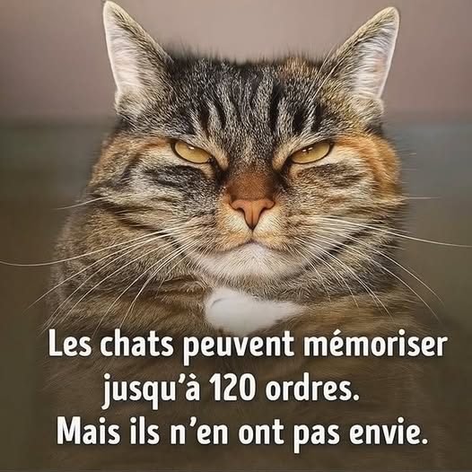 Loovenelle tweet picture