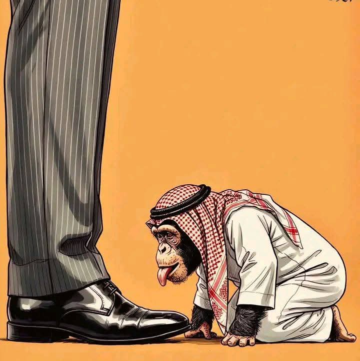 razasha0's tweet photo. @MOISaudiArabia Shame https://t.co/w4gibicnay