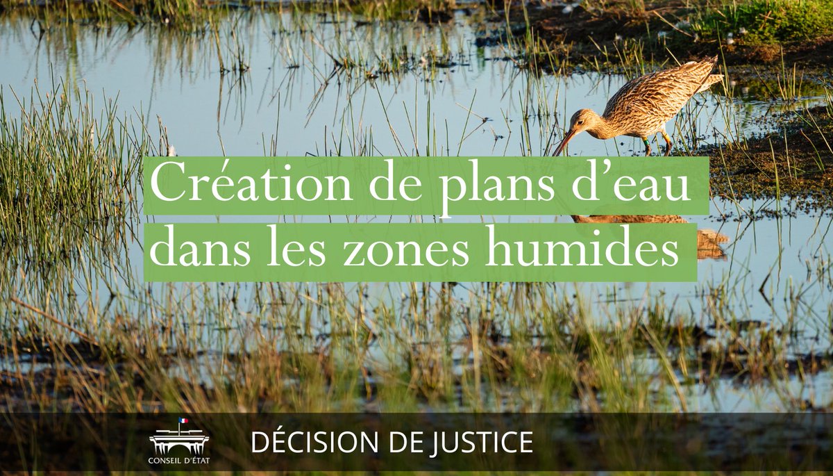 Conseil d'État tweet media