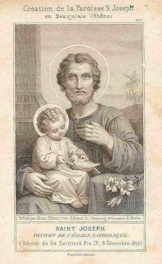 PiusXII’s girl tweet media