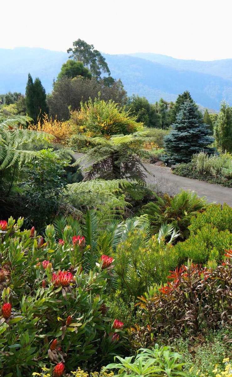 Tina Koskima 🕊️ tweet media