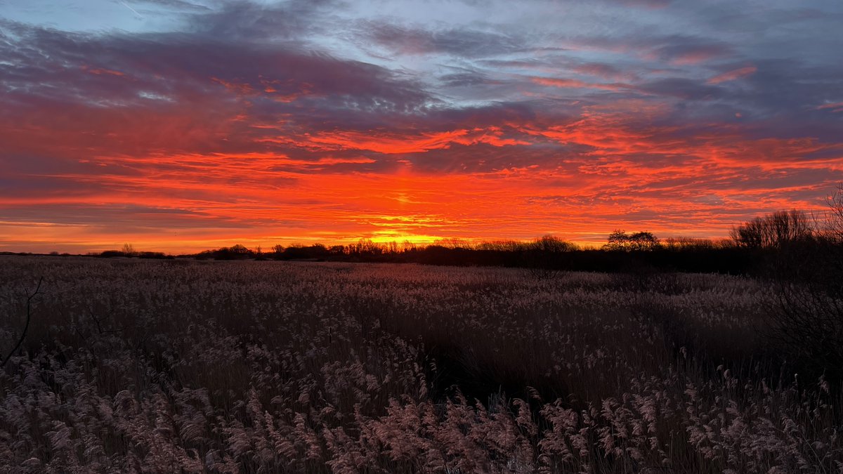 Cliff Gilbert tweet media