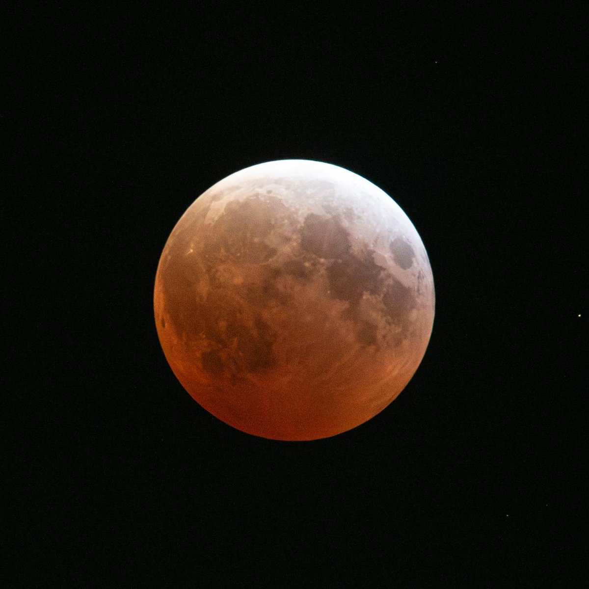 Canadian Space Agency tweet media