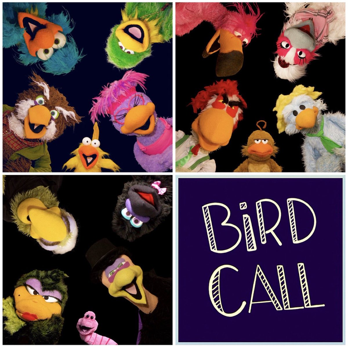 Bird Call tweet media