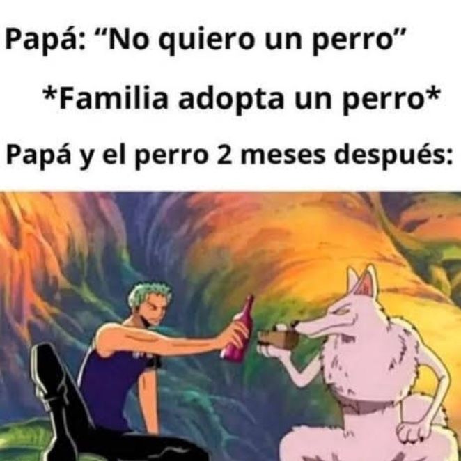 bjs_alejo2's tweet photo. https://t.co/oJKjrzU2hG