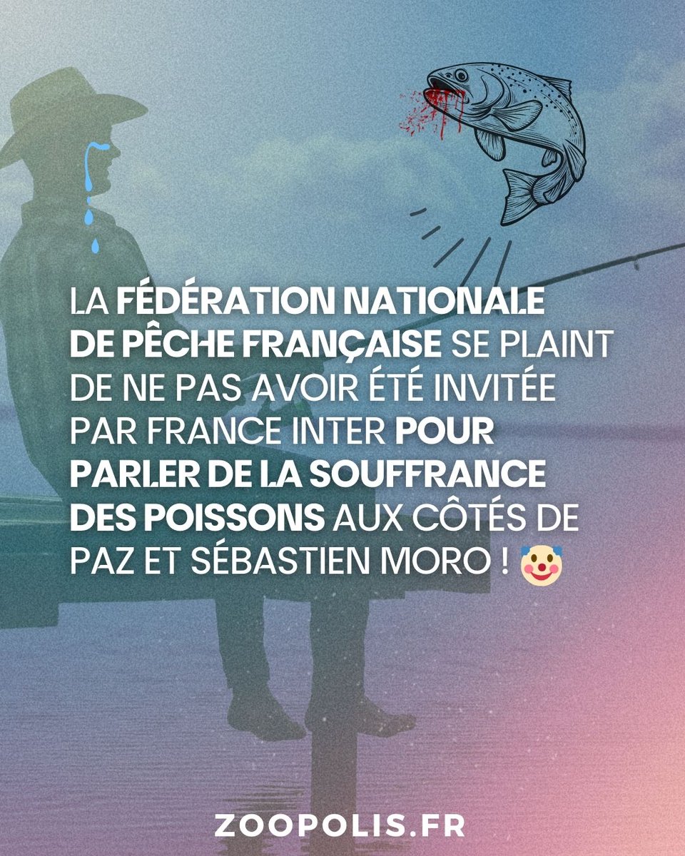paz_zoopolis's tweet image. #Pechedeloisir : la FNPF se plaint de ne pas avoir été invitée par France Inter pour parler de la souffrance des poissons. Elle voudrait avoir un droit de réponse. Pourtant lorsqu’il s’agit de pêche de loisir, c’est souvent les pêcheurs qui s’expriment sans contradictoire…🙄