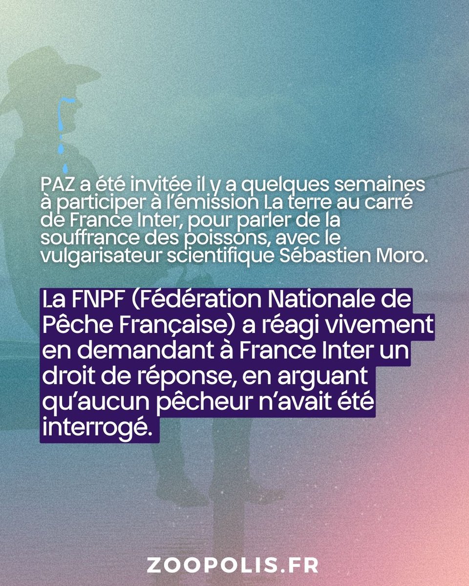 paz_zoopolis's tweet image. #Pechedeloisir : la FNPF se plaint de ne pas avoir été invitée par France Inter pour parler de la souffrance des poissons. Elle voudrait avoir un droit de réponse. Pourtant lorsqu’il s’agit de pêche de loisir, c’est souvent les pêcheurs qui s’expriment sans contradictoire…🙄