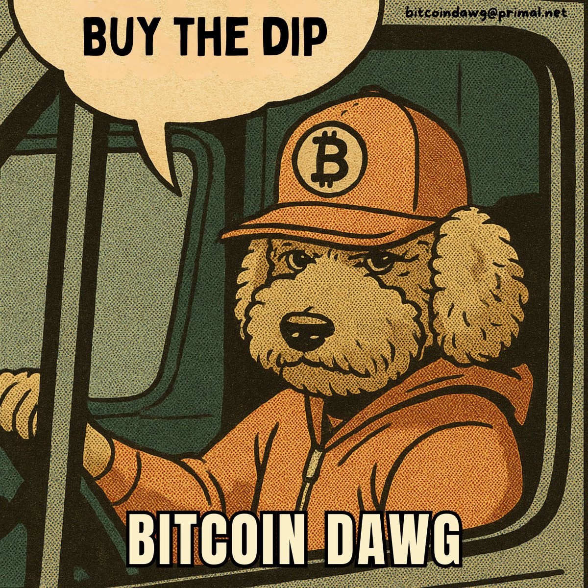 Bitcoin Dawg tweet media