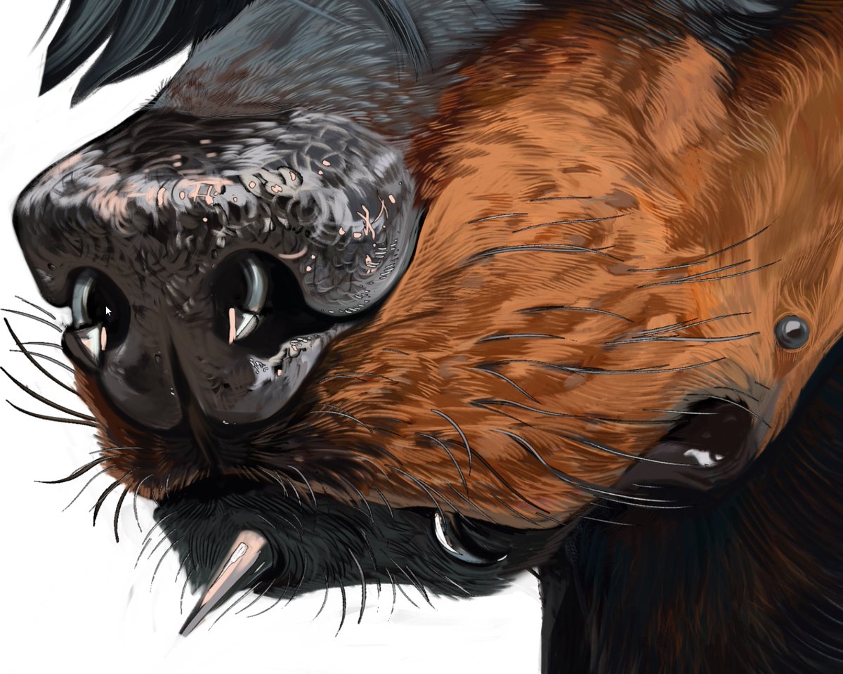 I really like his left nostril xD