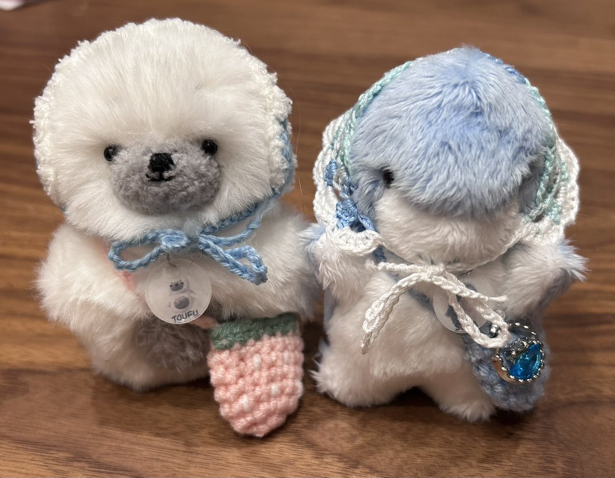 Tiny koala (@koala_tiny83) / Posts / X