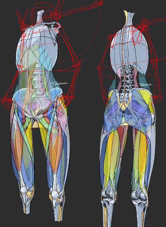 畳@atelier Loop tweet media