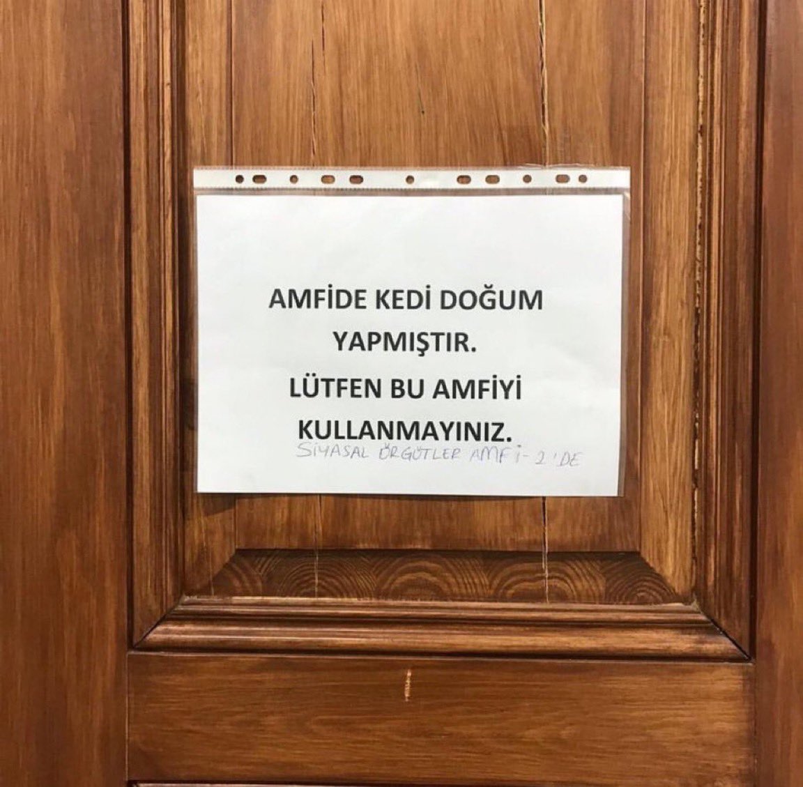Turkish Archives tweet media