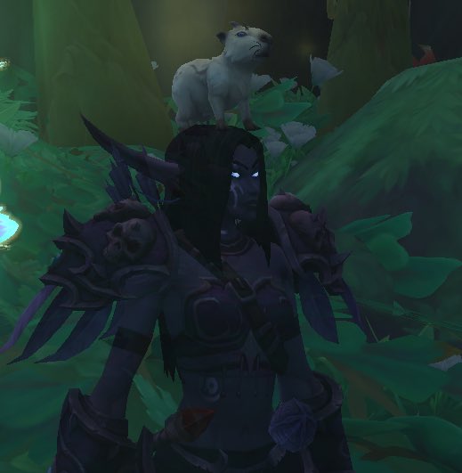 juuni dyana 🌼 tweet media