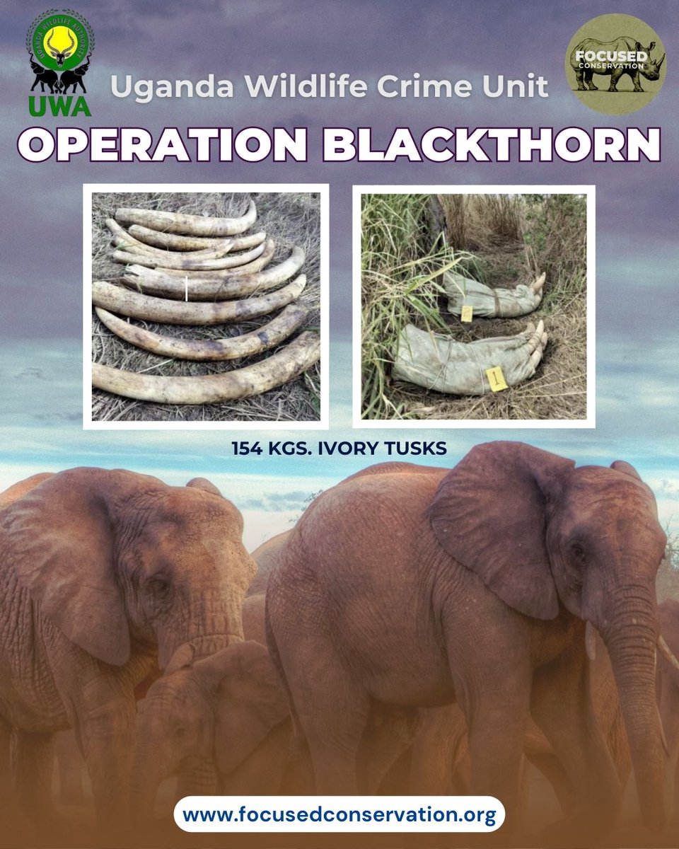 Focused Conservation tweet media