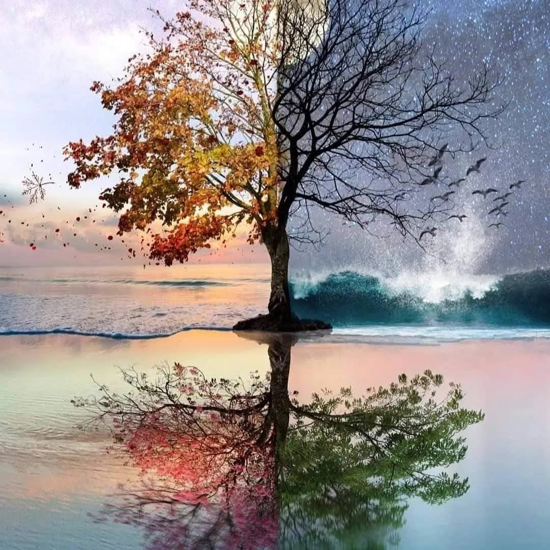 Dört mevsim geçer. 
Ağaçlar yaprak döker, yeniden çiçek açar. 
Ama insan ruhunda bir mevsim vardır ki 
— asla geçmez. 
O mevsim, senin birine “ben buradayım” dediğin andır. 
O anda, kış bile bahar olur.  
Ve o an, bir ömürdür.

Kürşat