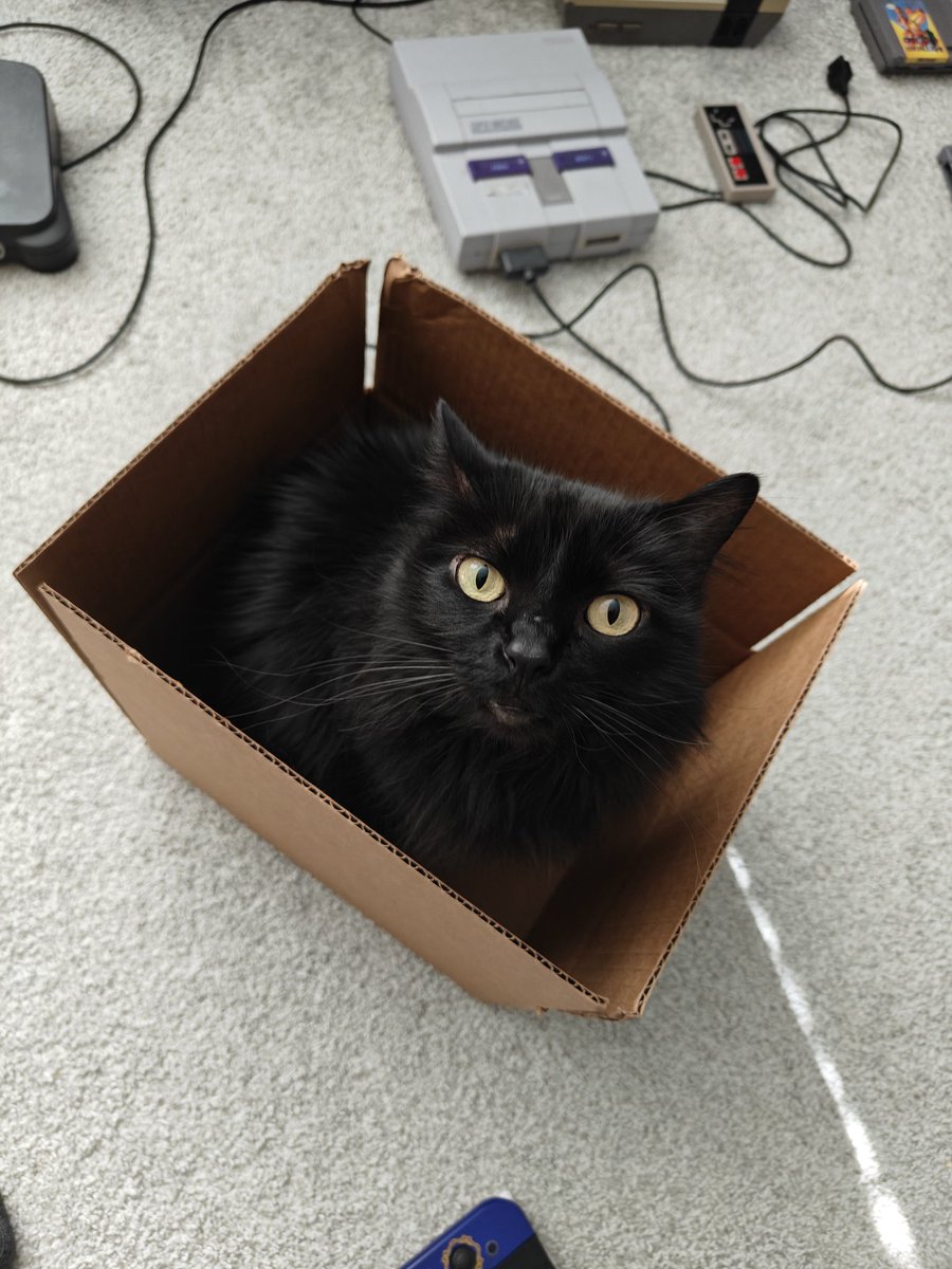 The Ghetto Gamer tweet media